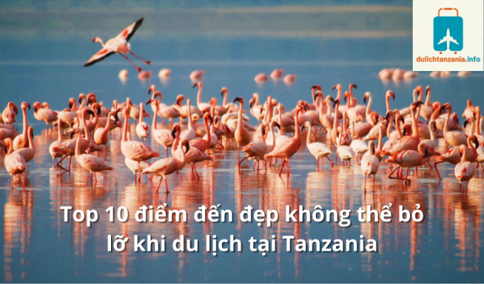 Top 10 điểm đến đẹp không thể bỏ lỡ khi du lịch tại Tanzania