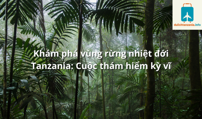 Khám phá vùng rừng nhiệt đới Tanzania: Cuộc thám hiểm kỳ vĩ