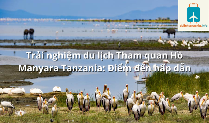 Trải nghiệm du lịch Tham quan Hồ Manyara Tanzania: Điểm đến hấp dẫn