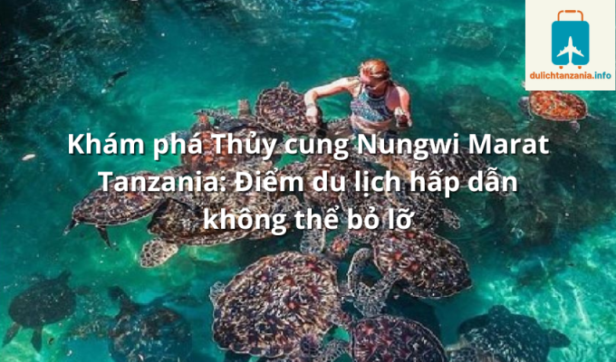 Khám phá Thủy cung Nungwi Marat Tanzania: Điểm du lịch hấp dẫn không thể bỏ lỡ