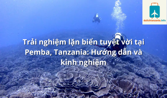 Trải nghiệm lặn biển tuyệt vời tại Pemba, Tanzania: Hướng dẫn và kinh nghiệm